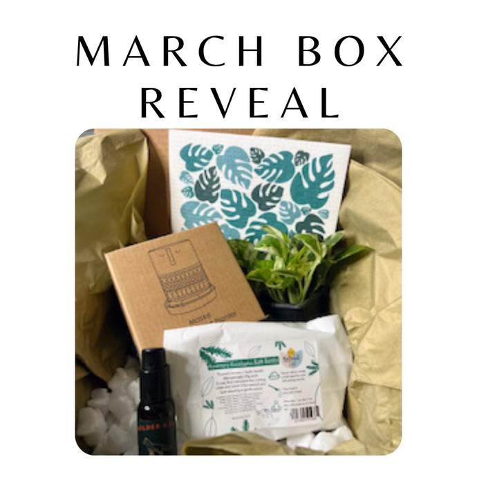 March Box Reveal